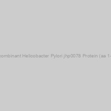 Image of Recombinant Helicobacter Pylori jhp0078 Protein (aa 1-62)